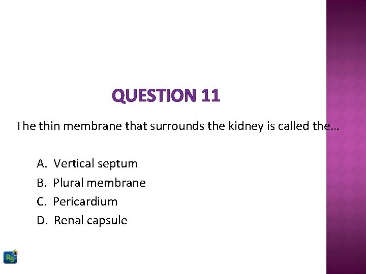 QUESTION 11 The thin membrane that surrounds the kidney is called the… A. B.