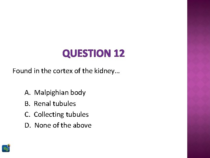 QUESTION 12 Found in the cortex of the kidney… A. B. C. D. Malpighian