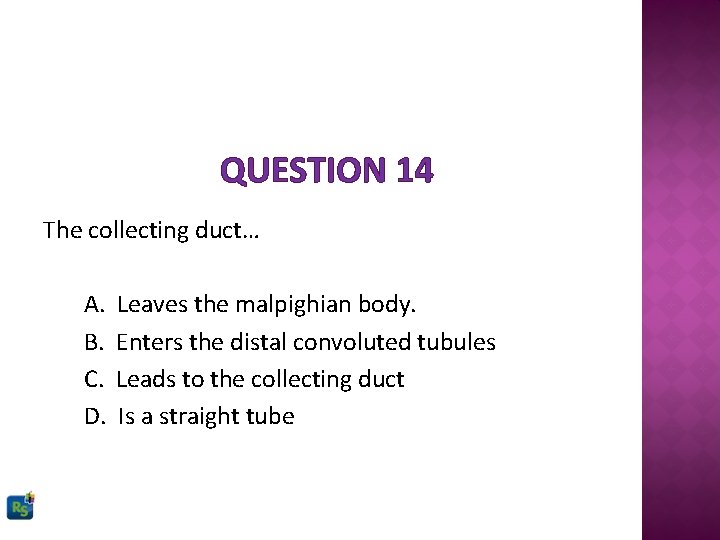 QUESTION 14 The collecting duct… A. B. C. D. Leaves the malpighian body. Enters