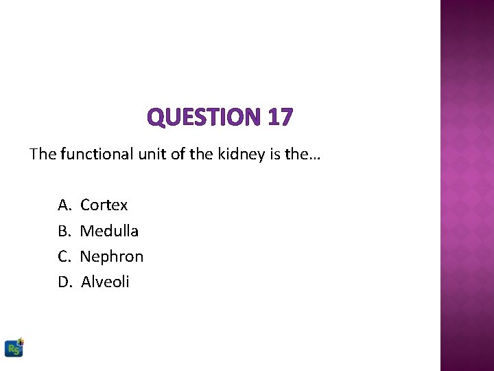 QUESTION 17 The functional unit of the kidney is the… A. B. C. D.