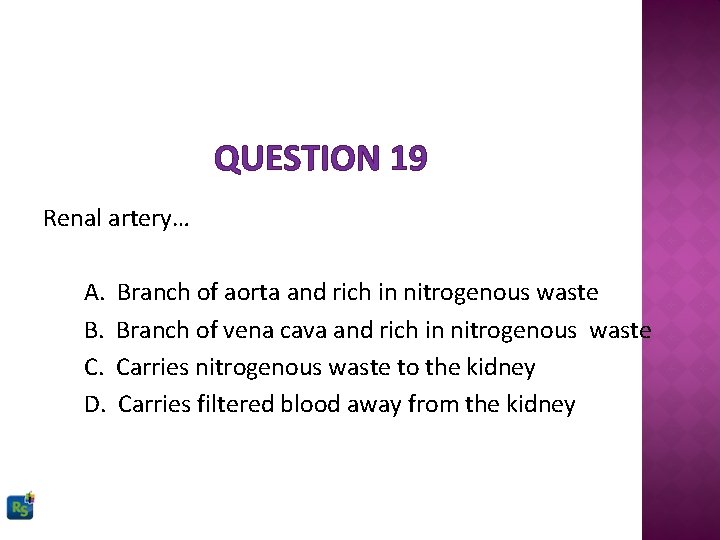 QUESTION 19 Renal artery… A. B. C. D. Branch of aorta and rich in