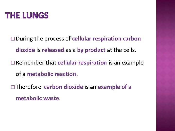 THE LUNGS � During the process of cellular respiration carbon dioxide is released as