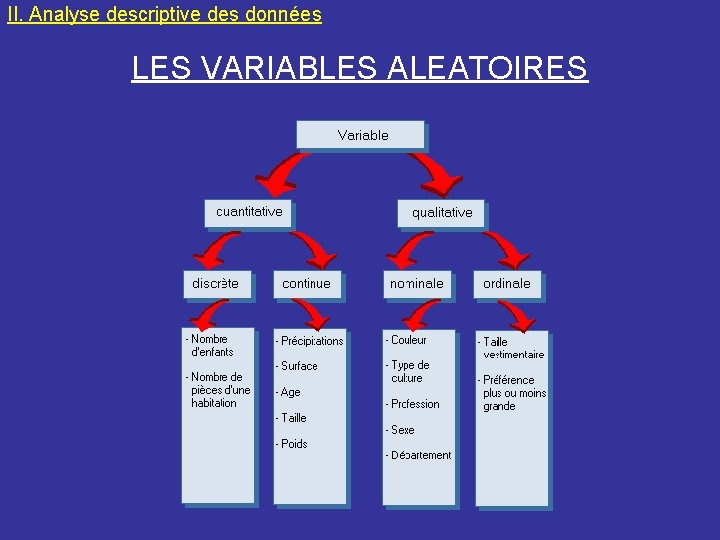 II. Analyse descriptive des données LES VARIABLES ALEATOIRES 