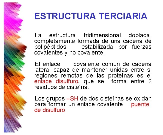 ESTRUCTURA TERCIARIA La estructura tridimensional doblada, completamente formada de una cadena de polipéptidos estabilizada ESTRUCTURA TERCIARIA La estructura tridimensional doblada, completamente formada de una cadena de polipéptidos estabilizada