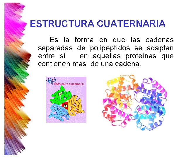ESTRUCTURA CUATERNARIA Es la forma en que las cadenas separadas de polipeptídos se adaptan ESTRUCTURA CUATERNARIA Es la forma en que las cadenas separadas de polipeptídos se adaptan