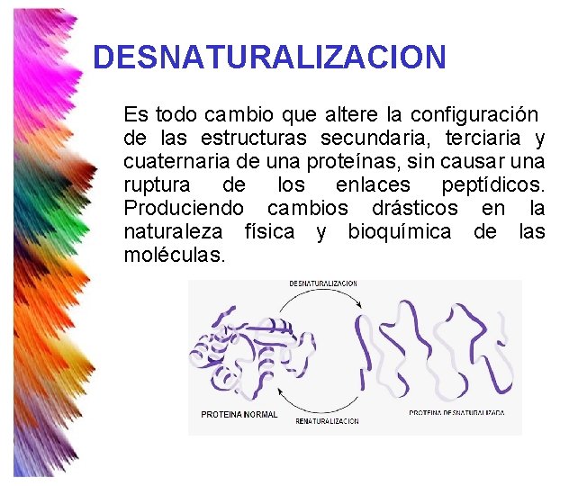 DESNATURALIZACION Es todo cambio que altere la configuración de las estructuras secundaria, terciaria y DESNATURALIZACION Es todo cambio que altere la configuración de las estructuras secundaria, terciaria y