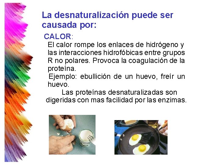 La desnaturalización puede ser causada por: CALOR: El calor rompe los enlaces de hidrógeno La desnaturalización puede ser causada por: CALOR: El calor rompe los enlaces de hidrógeno