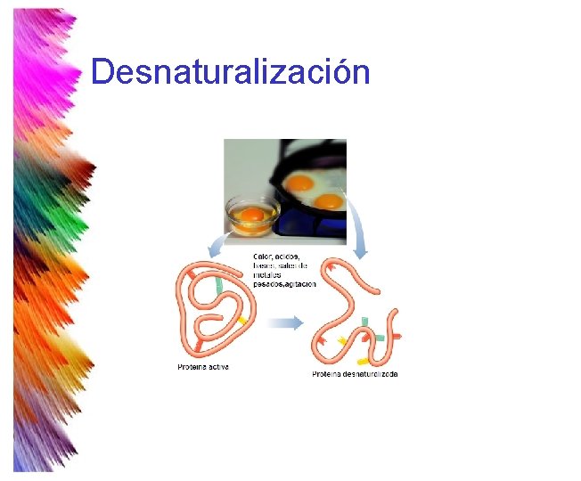Desnaturalización Desnaturalización