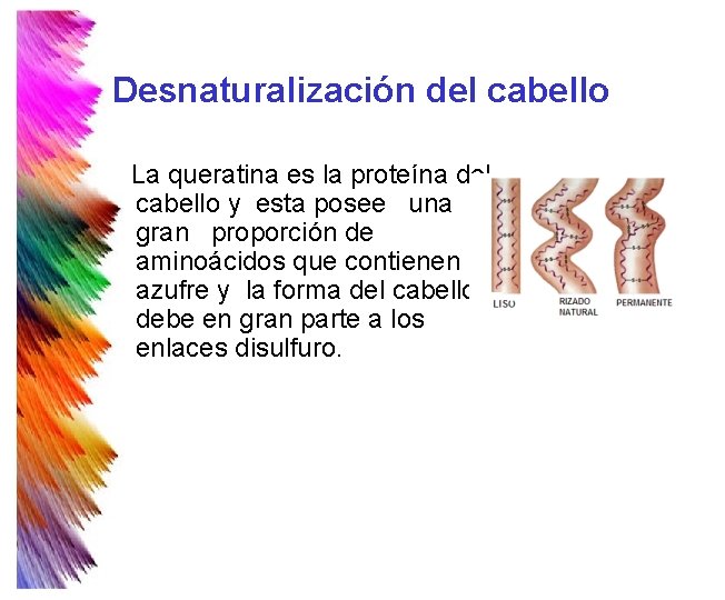Desnaturalización del cabello La queratina es la proteína del cabello y esta posee una Desnaturalización del cabello La queratina es la proteína del cabello y esta posee una