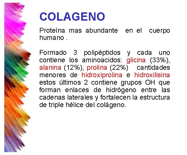 COLAGENO Proteína mas abundante humano. en el cuerpo Formado 3 polipéptidos y cada uno COLAGENO Proteína mas abundante humano. en el cuerpo Formado 3 polipéptidos y cada uno