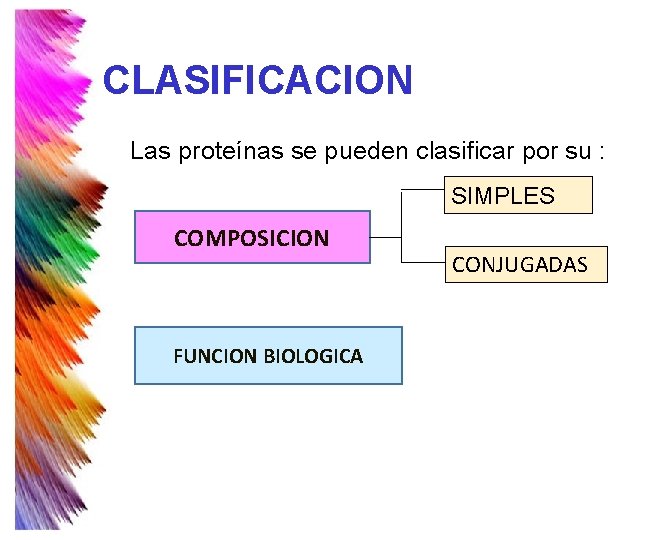 CLASIFICACION Las proteínas se pueden clasificar por su : SIMPLES COMPOSICION FUNCION BIOLOGICA CONJUGADAS CLASIFICACION Las proteínas se pueden clasificar por su : SIMPLES COMPOSICION FUNCION BIOLOGICA CONJUGADAS