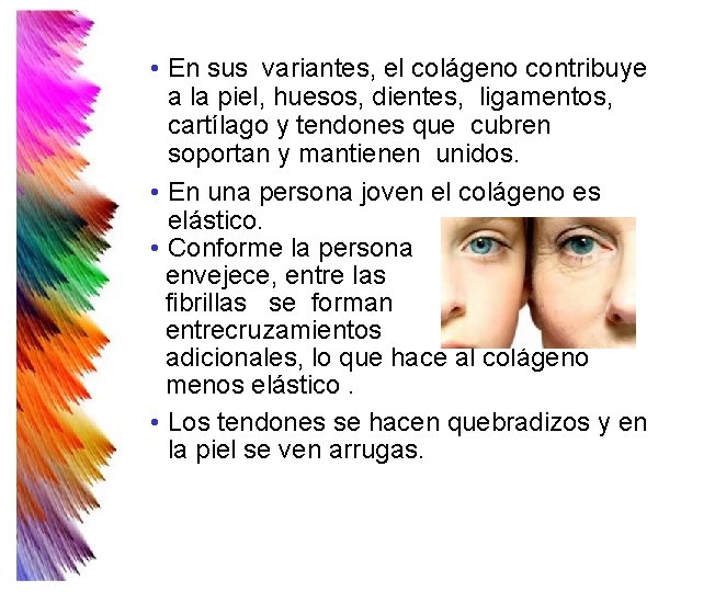 • En sus variantes, el colágeno contribuye a la piel, huesos, dientes, ligamentos, • En sus variantes, el colágeno contribuye a la piel, huesos, dientes, ligamentos,