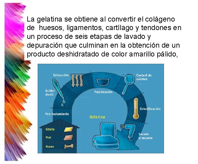 La gelatina se obtiene al convertir el colágeno de huesos, ligamentos, cartílago y tendones La gelatina se obtiene al convertir el colágeno de huesos, ligamentos, cartílago y tendones
