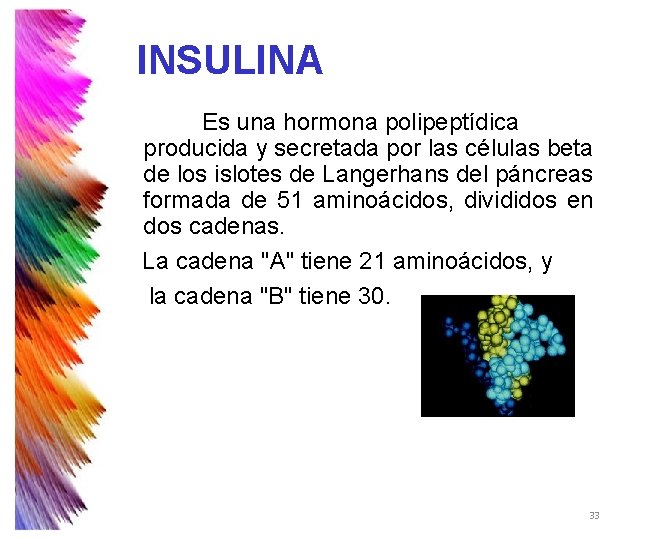 INSULINA Es una hormona polipeptídica producida y secretada por las células beta de los INSULINA Es una hormona polipeptídica producida y secretada por las células beta de los