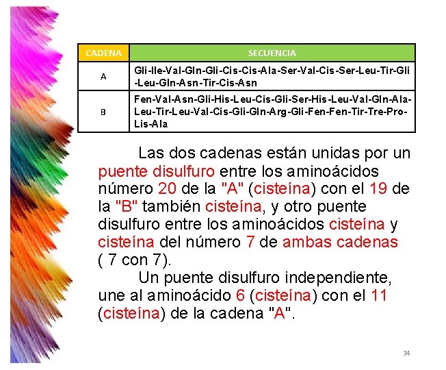CADENA SECUENCIA A Gli-Ile-Val-Gln-Gli-Cis-Ala-Ser-Val-Cis-Ser-Leu-Tir-Gli -Leu-Gln-Asn-Tir-Cis-Asn B Fen-Val-Asn-Gli-His-Leu-Cis-Gli-Ser-His-Leu-Val-Gln-Ala. Leu-Tir-Leu-Val-Cis-Gli-Gln-Arg-Gli-Fen-Tir-Tre-Pro. Lis-Ala Las dos cadenas están unidas CADENA SECUENCIA A Gli-Ile-Val-Gln-Gli-Cis-Ala-Ser-Val-Cis-Ser-Leu-Tir-Gli -Leu-Gln-Asn-Tir-Cis-Asn B Fen-Val-Asn-Gli-His-Leu-Cis-Gli-Ser-His-Leu-Val-Gln-Ala. Leu-Tir-Leu-Val-Cis-Gli-Gln-Arg-Gli-Fen-Tir-Tre-Pro. Lis-Ala Las dos cadenas están unidas