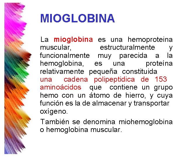 MIOGLOBINA La mioglobina es una hemoproteina muscular, estructuralmente y funcionalmente muy parecida a la MIOGLOBINA La mioglobina es una hemoproteina muscular, estructuralmente y funcionalmente muy parecida a la