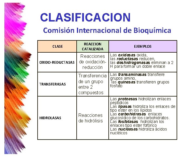 CLASIFICACION Comisión Internacional de Bioquímica CLASE REACCION CATALIZADA Reacciones OXIDO-REDUCTASAS de oxidaciónreducción TRANSFERASAS HIDROLASAS CLASIFICACION Comisión Internacional de Bioquímica CLASE REACCION CATALIZADA Reacciones OXIDO-REDUCTASAS de oxidaciónreducción TRANSFERASAS HIDROLASAS