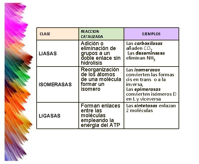 CLASE LIASAS ISOMERASAS LIGASAS REACCION CATALIZADA Adición o eliminación de grupos a un doble CLASE LIASAS ISOMERASAS LIGASAS REACCION CATALIZADA Adición o eliminación de grupos a un doble
