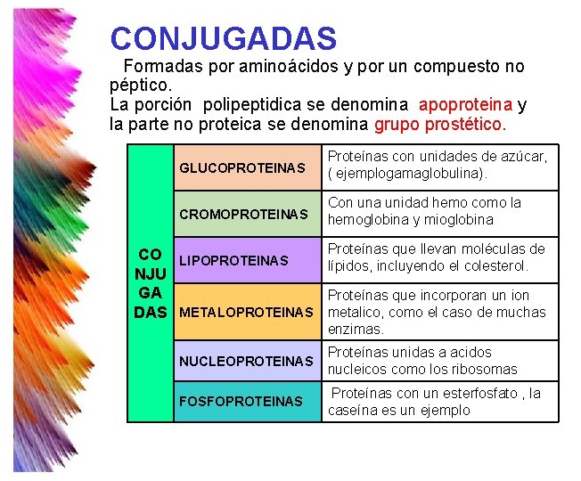 CONJUGADAS Formadas por aminoácidos y por un compuesto no péptico. La porción polipeptidica se CONJUGADAS Formadas por aminoácidos y por un compuesto no péptico. La porción polipeptidica se