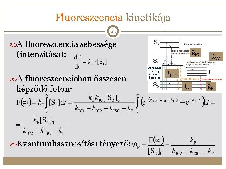 Fluoreszcencia kinetikája 29 A fluoreszcencia sebessége (intenzitása): A fluoreszcenciában összesen képződő foton: Kvantumhasznosítási tényező: