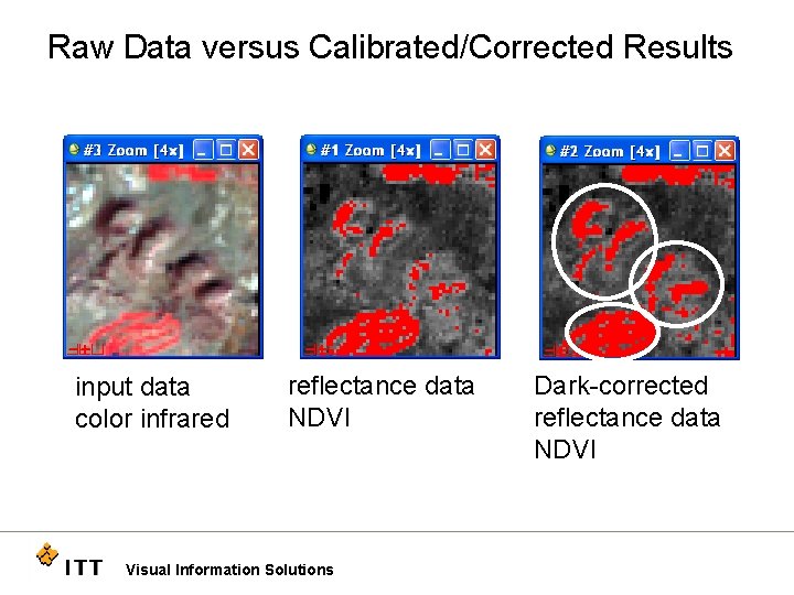 Raw Data versus Calibrated/Corrected Results input data color infrared reflectance data NDVI Visual Information