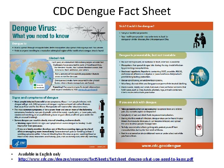 CDC Dengue Fact Sheet • • Available in English only http: //www. cdc. gov/dengue/resources/fact.