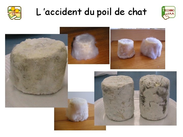 L ’accident du poil de chat 
