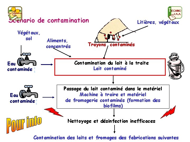 Scénario de contamination Végétaux, sol Aliments, concentrés Litières, végétaux Trayons contaminés Contamination du lait