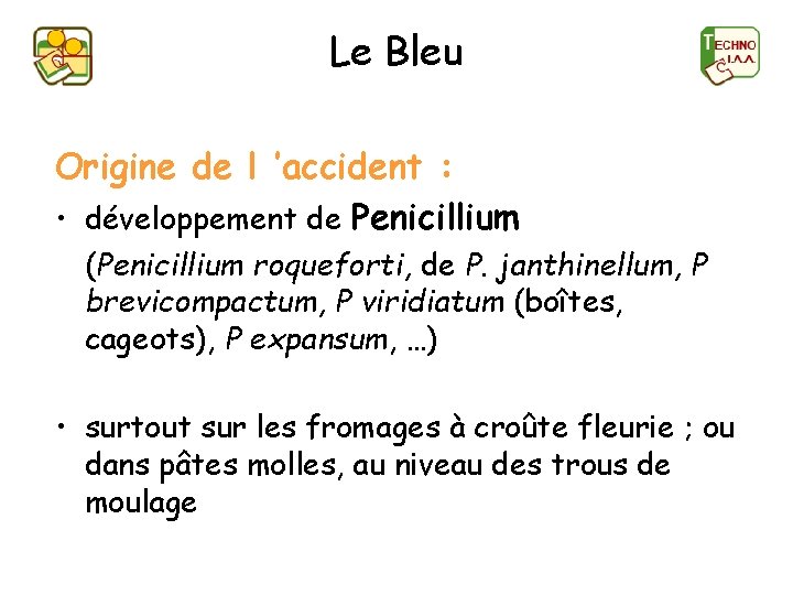 Le Bleu Origine de l ’accident : • développement de Penicillium (Penicillium roqueforti, de