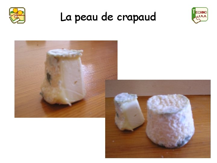 La peau de crapaud 