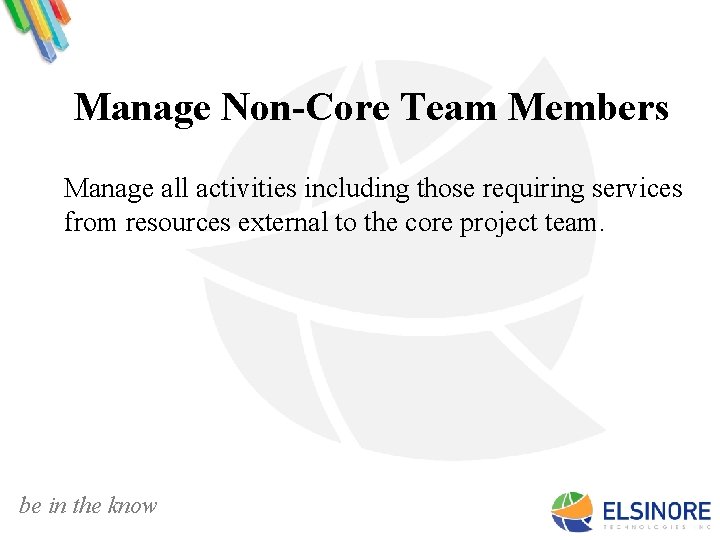 Manage Non-Core Team Members Manage all activities including those requiring services from resources external