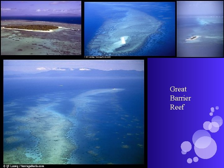 Great Barrier Reef Great Barrier Reef
