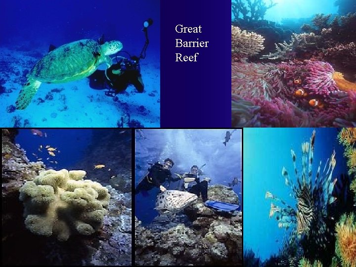 Great Barrier Reef Great Barrier Reef