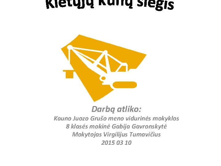 Darbą atliko: Kauno Juozo Grušo meno vidurinės mokyklos 8 klasės mokinė Gabija Gavronskytė Mokytojas