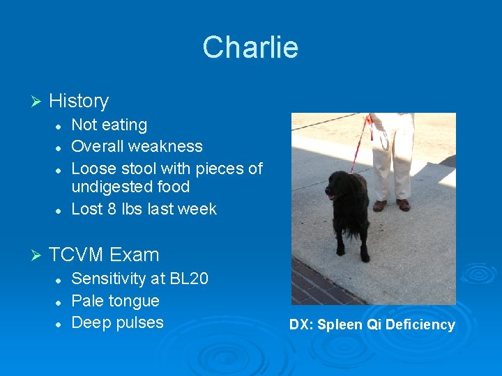 Charlie Ø History l l Ø Not eating Overall weakness Loose stool with pieces