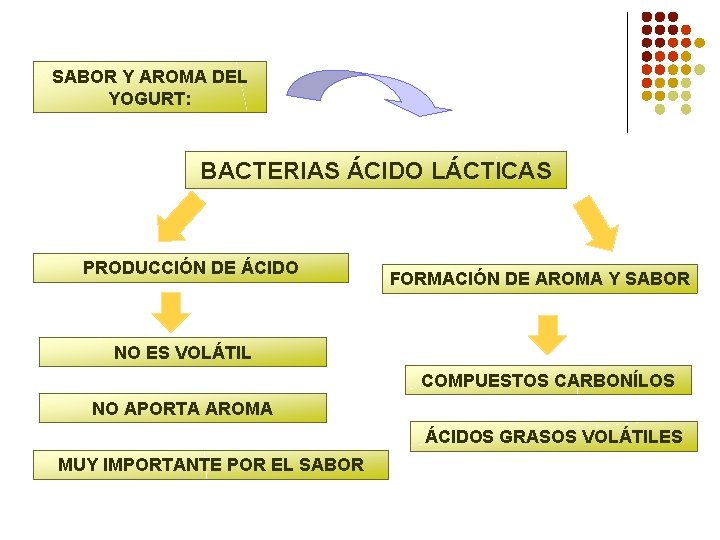 SABOR Y AROMA DEL YOGURT: BACTERIAS ÁCIDO LÁCTICAS PRODUCCIÓN DE ÁCIDO FORMACIÓN DE AROMA