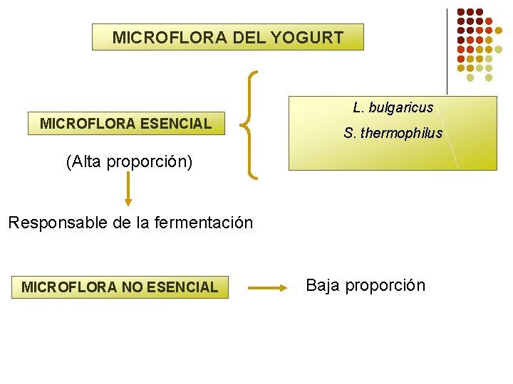 MICROFLORA DEL YOGURT L. bulgaricus MICROFLORA ESENCIAL S. thermophilus (Alta proporción) Responsable de la