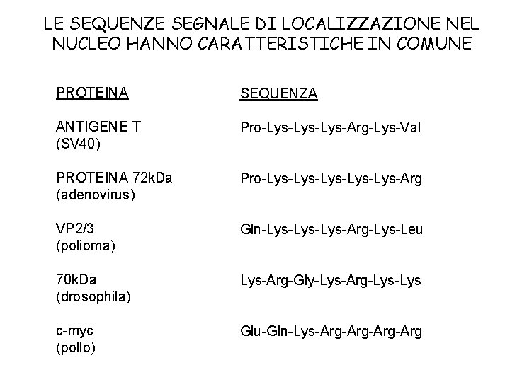 LE SEQUENZE SEGNALE DI LOCALIZZAZIONE NEL NUCLEO HANNO CARATTERISTICHE IN COMUNE PROTEINA SEQUENZA ANTIGENE LE SEQUENZE SEGNALE DI LOCALIZZAZIONE NEL NUCLEO HANNO CARATTERISTICHE IN COMUNE PROTEINA SEQUENZA ANTIGENE