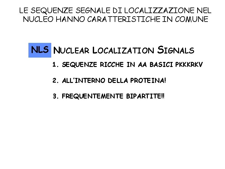 LE SEQUENZE SEGNALE DI LOCALIZZAZIONE NEL NUCLEO HANNO CARATTERISTICHE IN COMUNE NLS NUCLEAR LOCALIZATION LE SEQUENZE SEGNALE DI LOCALIZZAZIONE NEL NUCLEO HANNO CARATTERISTICHE IN COMUNE NLS NUCLEAR LOCALIZATION