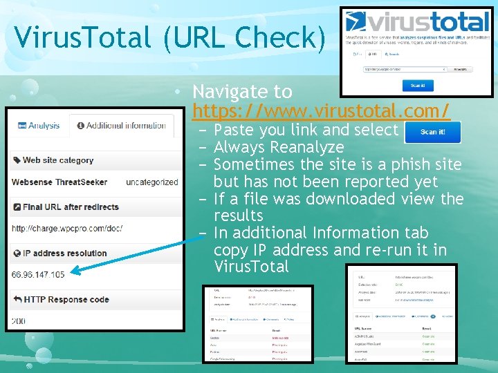 Virus. Total (URL Check) • Navigate to https: //www. virustotal. com/ − Paste you Virus. Total (URL Check) • Navigate to https: //www. virustotal. com/ − Paste you