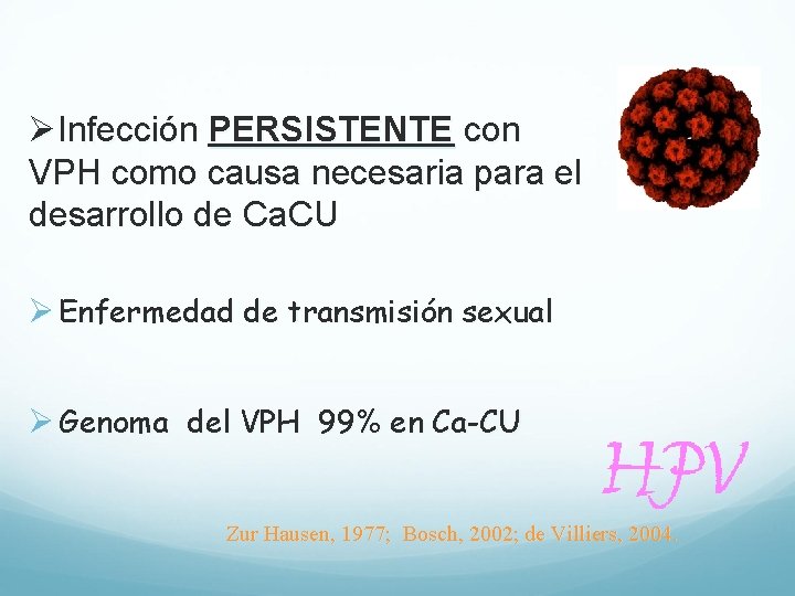 ØInfección PERSISTENTE con VPH como causa necesaria para el desarrollo de Ca. CU Ø