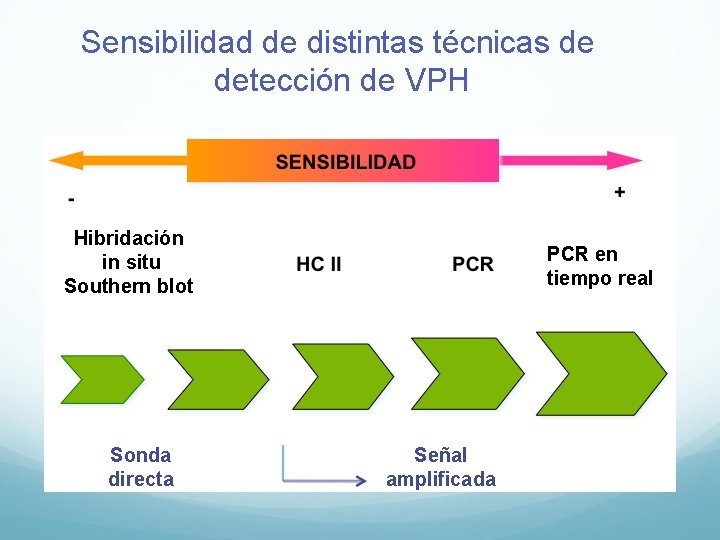 Sensibilidad de distintas técnicas de detección de VPH Hibridación in situ Southern blot Sonda