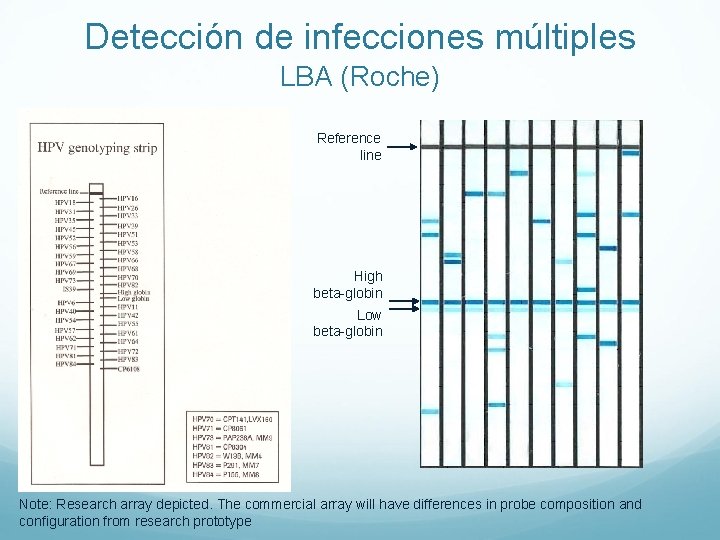 Detección de infecciones múltiples LBA (Roche) Reference line High beta-globin Low beta-globin Note: Research