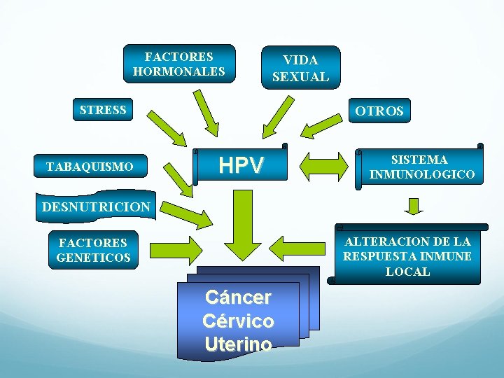 FACTORES HORMONALES VIDA SEXUAL STRESS TABAQUISMO OTROS HPV SISTEMA INMUNOLOGICO DESNUTRICION ALTERACION DE LA