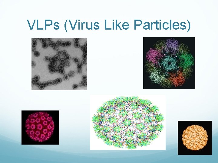 VLPs (Virus Like Particles) 