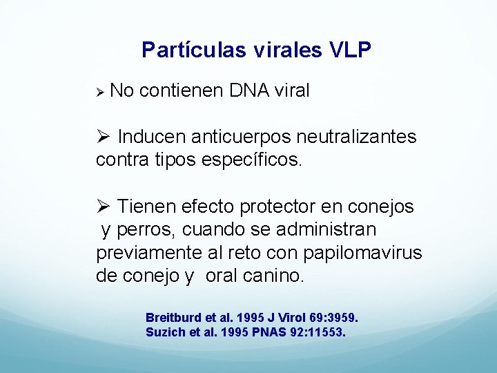 Partículas virales VLP Ø No contienen DNA viral Ø Inducen anticuerpos neutralizantes contra tipos