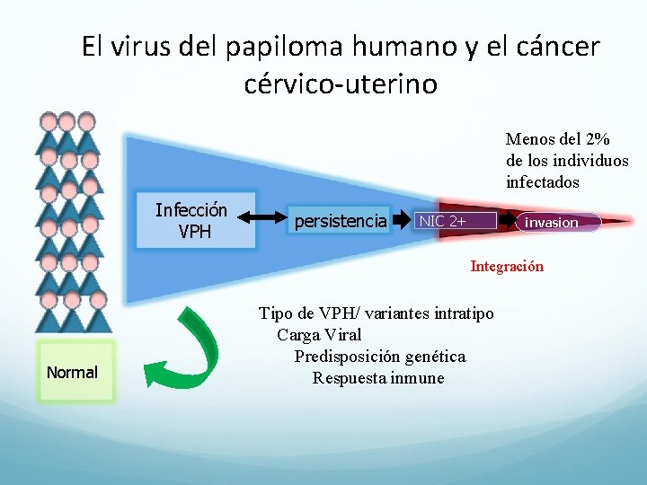 El virus del papiloma humano y el cáncer cérvico-uterino Menos del 2% de los