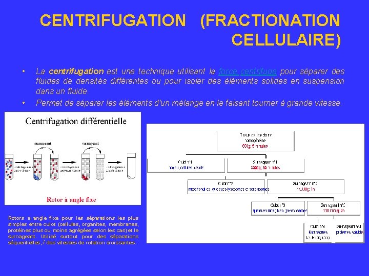 CENTRIFUGATION (FRACTIONATION CELLULAIRE) • • La centrifugation est une technique utilisant la force centrifuge