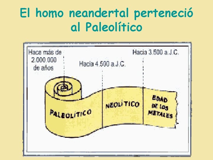 El homo neandertal perteneció al Paleolítico 