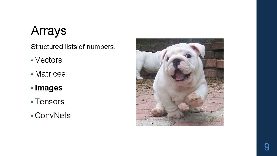 Arrays Structured lists of numbers. • Vectors • Matrices • Images • Tensors •